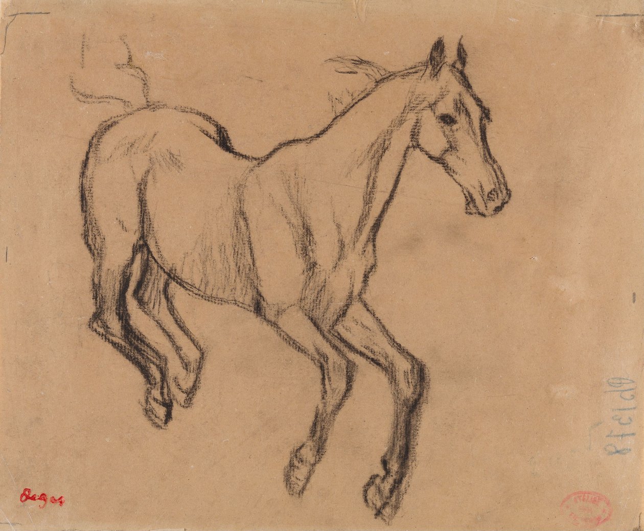 Vágtázó ló alkotó: Edgar Degas