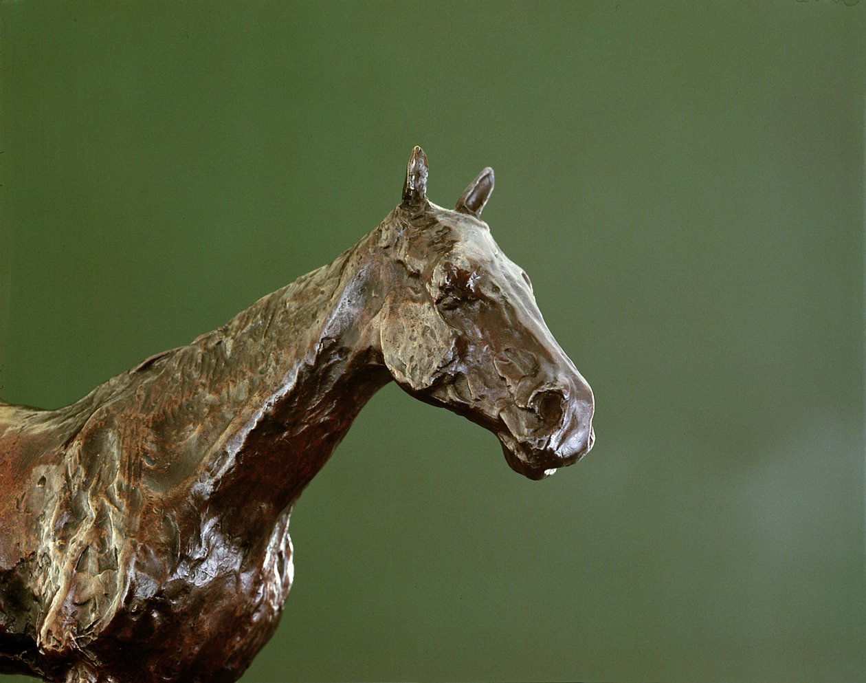 Lófej (bronz) (335585 részlet) alkotó: Edgar Degas
