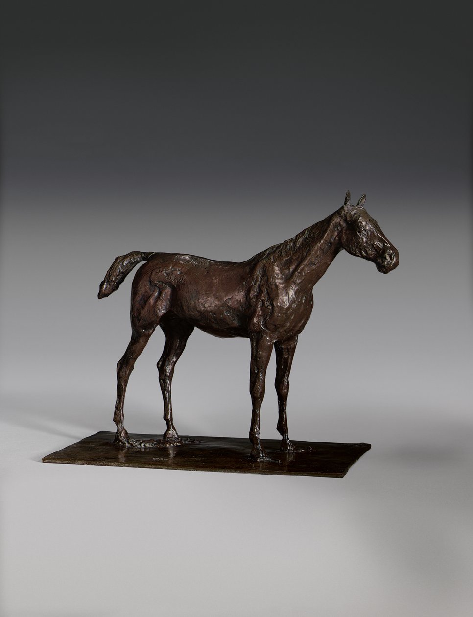 Álló ló alkotó: Edgar Degas