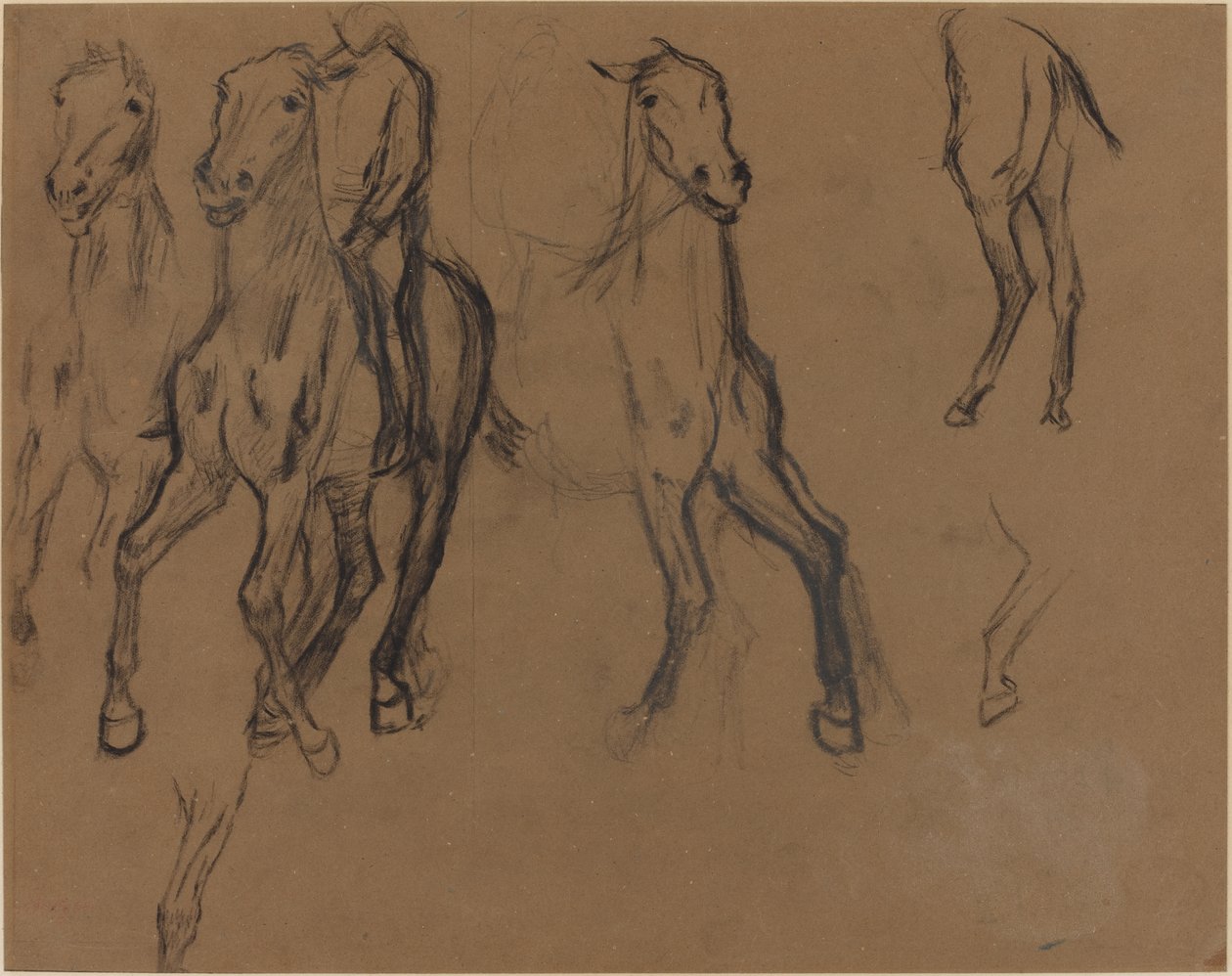 Study of Horses, 1886 körül (szén és grafit barna papíron) alkotó: Edgar Degas