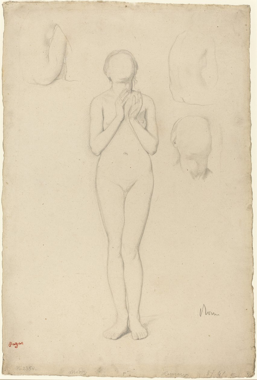 Tanulmány egy női aktról, 18561858. alkotó: Edgar Degas