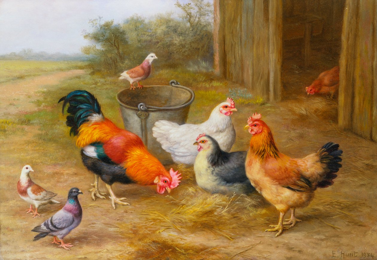 Galambok és csirkék alkotó: Edgar Hunt