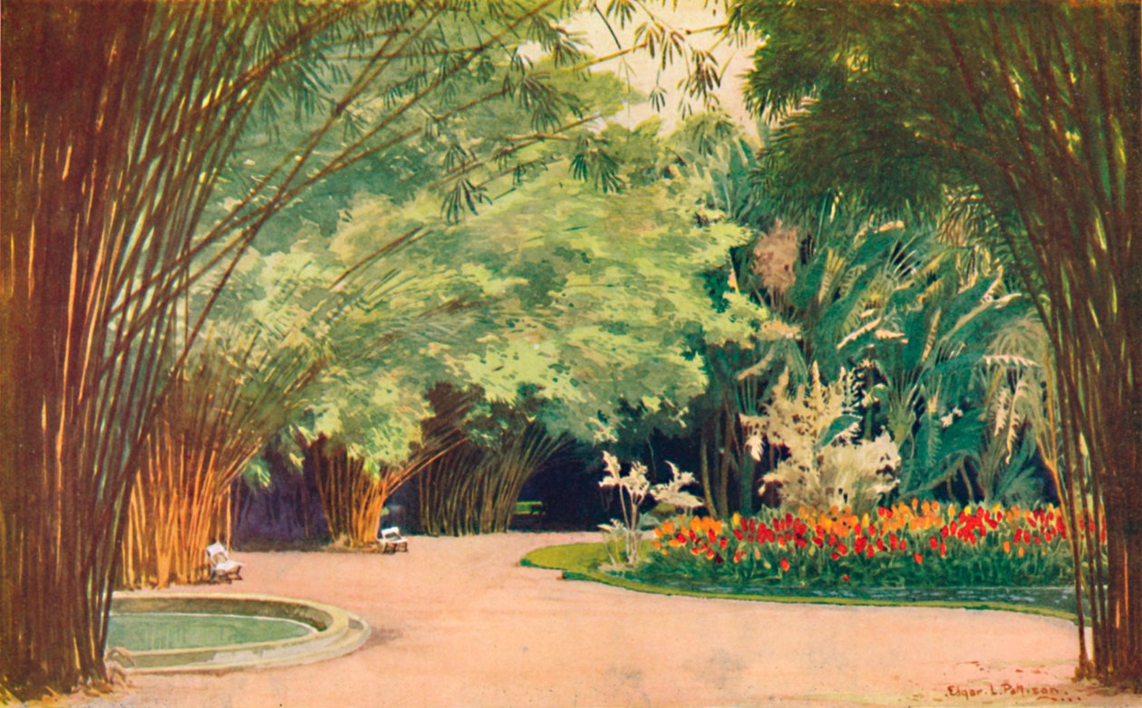 A Bamboo Grove – Botanikus Kert, 1914 alkotó: Edgar L. Pattison
