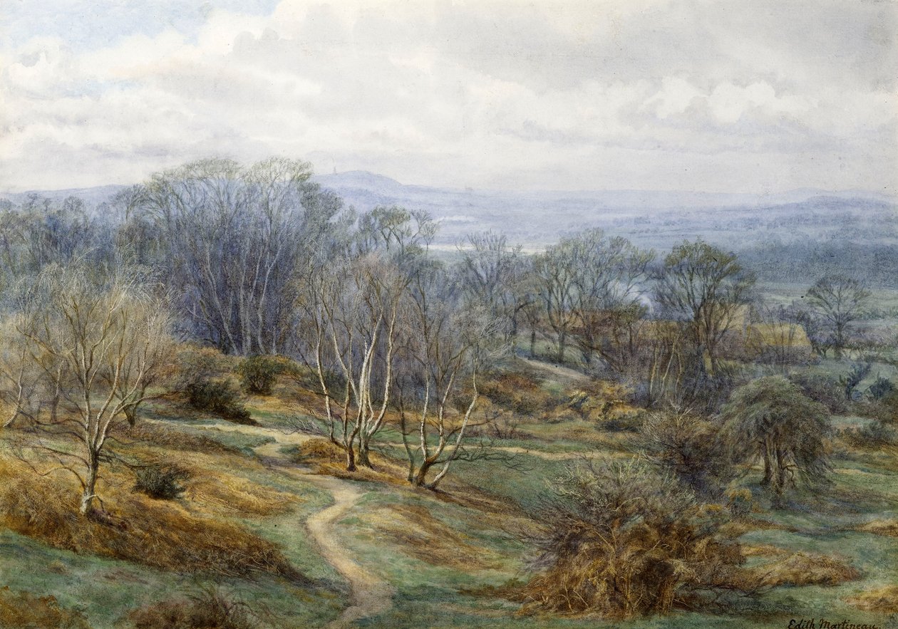Hampstead Heath Harrow felé néz a hegyen, 1880 körül (wc papíron) alkotó: Edith Martineau