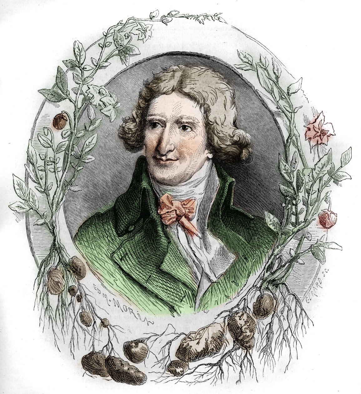 Antoine Augustin Parmentier (1737-1813) francia katonai gyógyszerész és agronómus portréja. Edmond Morin metszete alkotó: Edmond Morin