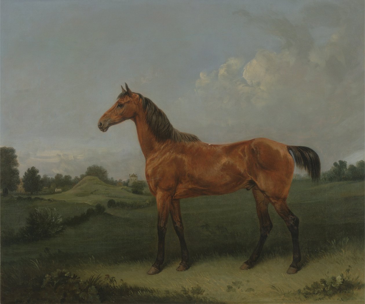 Öbölló a mezőn (olaj, vászon) alkotó: Edmund Bristow
