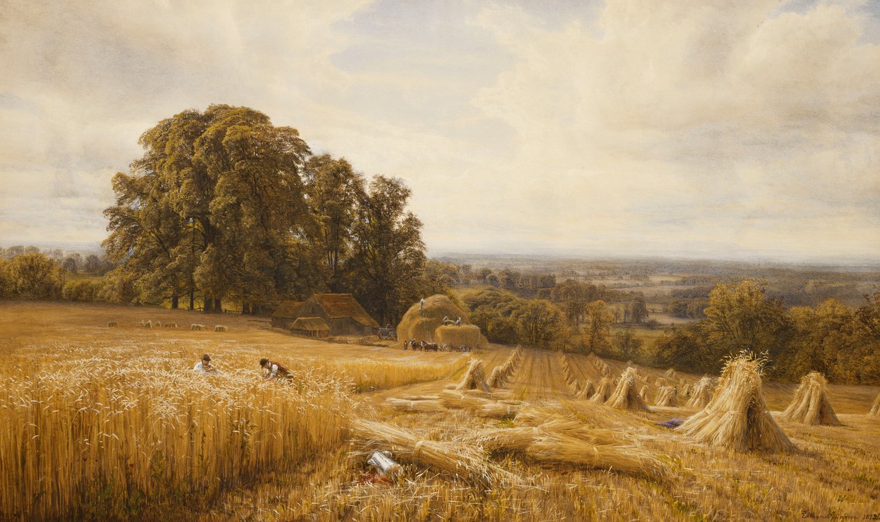 Egy kiterjedt táj aratógépekkel, 1873 alkotó: Edmund George Warren