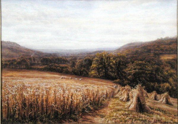 Szüreti idő Ashburton közelében alkotó: Edmund George Warren