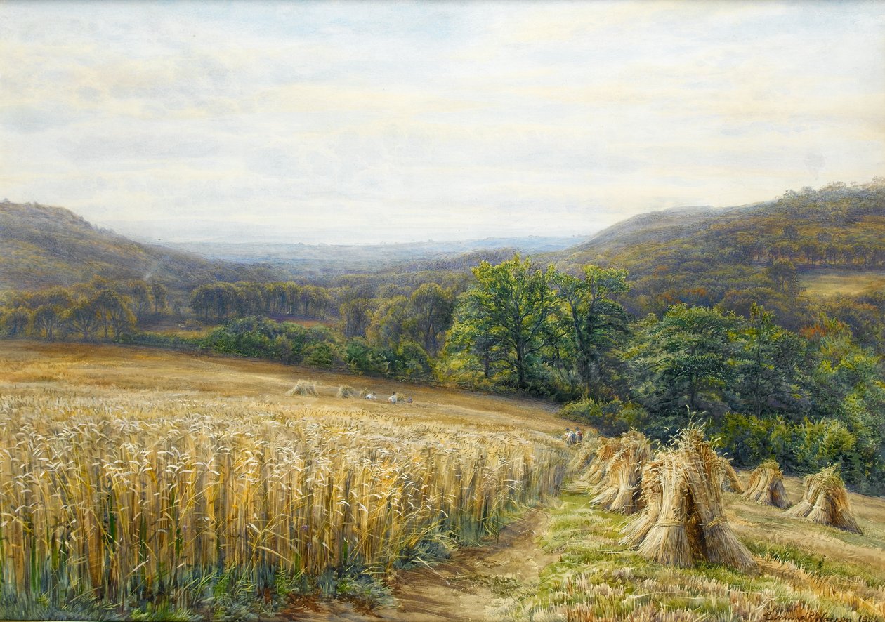 Betakarítási idő Ashburton közelében, 1884 (wc és gouache papíron) alkotó: Edmund George Warren