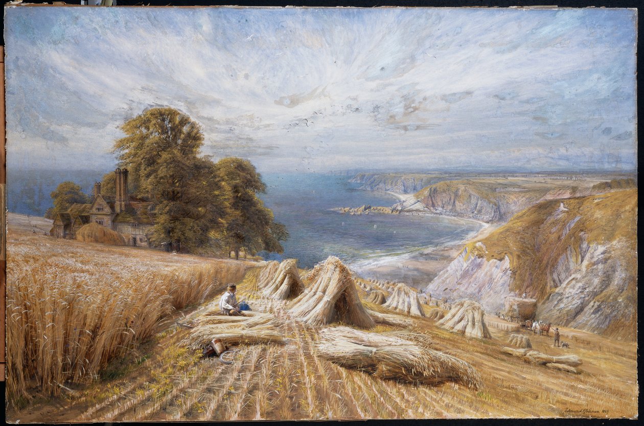 Betakarítás a déli parton, 1869 alkotó: Edmund George Warren