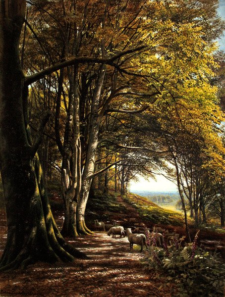 Erdei tisztáson legelő birkák (akvarell és testfesték papíron) alkotó: Edmund George Warren