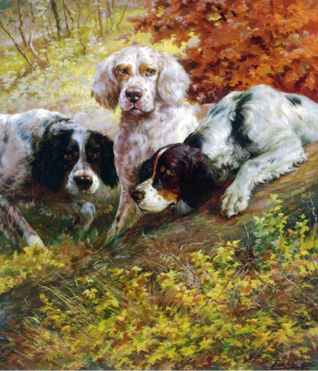Setters alkotó: Edmund Henry Osthaus
