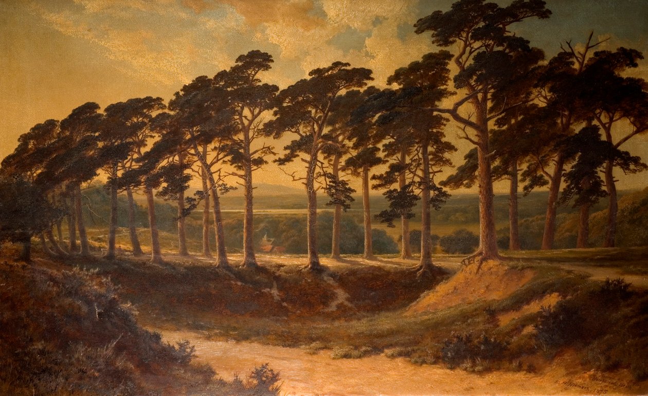 Harrow az elsőből, Hampstead Heath, 1875 alkotó: Edmund John Niemann