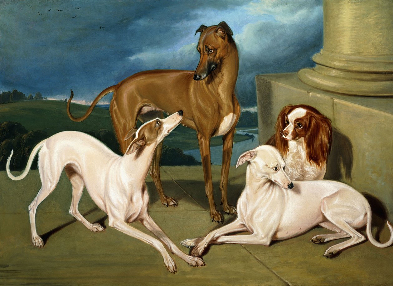 Whippetek és egy királyspániel, 1837 alkotó: Edmund Jr Havell