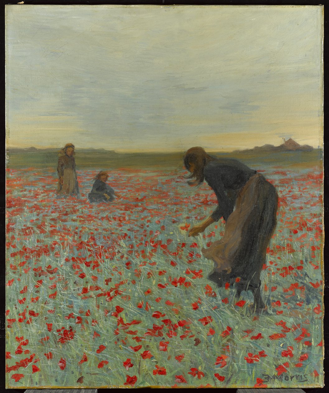 Lányok a mákföldön, 1896 körül alkotó: Edmund Montague Morris