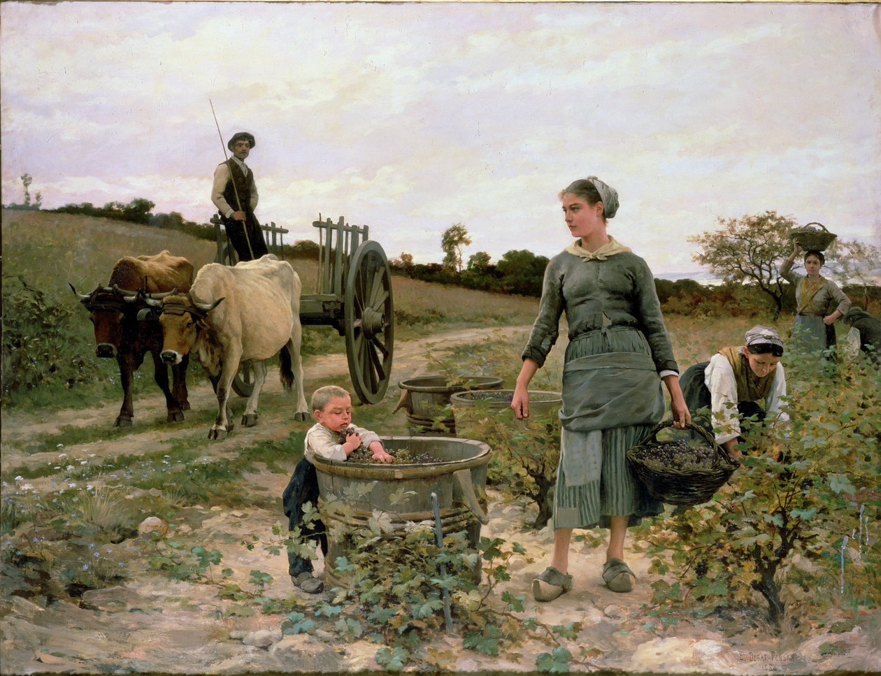 Egy szőlőskert sarka, Languedoc, 1886 alkotó: Edouard Debat Ponsan