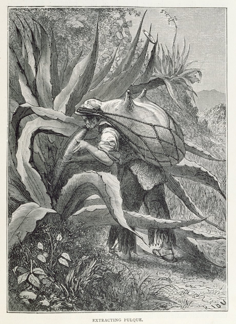 Claude-Joseph-Desire Charney Pulque kivonata „Az új világ ősi városaiból”, Manini metszet, pub. 1887 alkotó: Edouard Riou