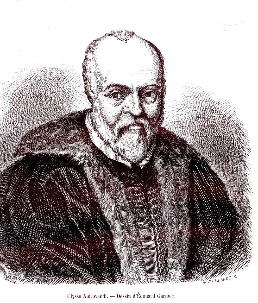 Ulisse Aldrovandi alkotó: Edouard Garnier