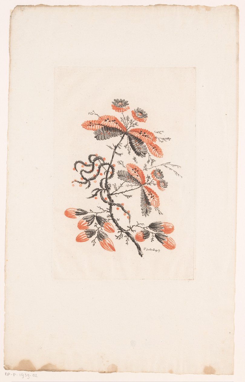 Virágok és rügyek Fleurs Idealle (sorozat címe) alkotó: Edouard Gautier Dagoty