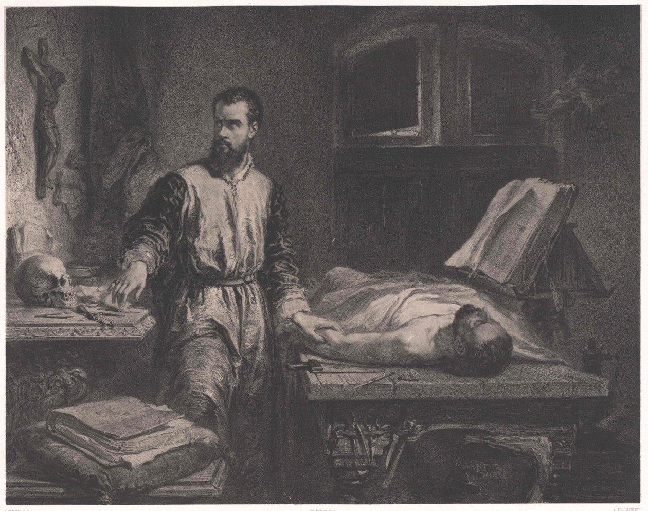Andrew Vesalius alkotó: Edouard Jean Conrad (after) Hamman