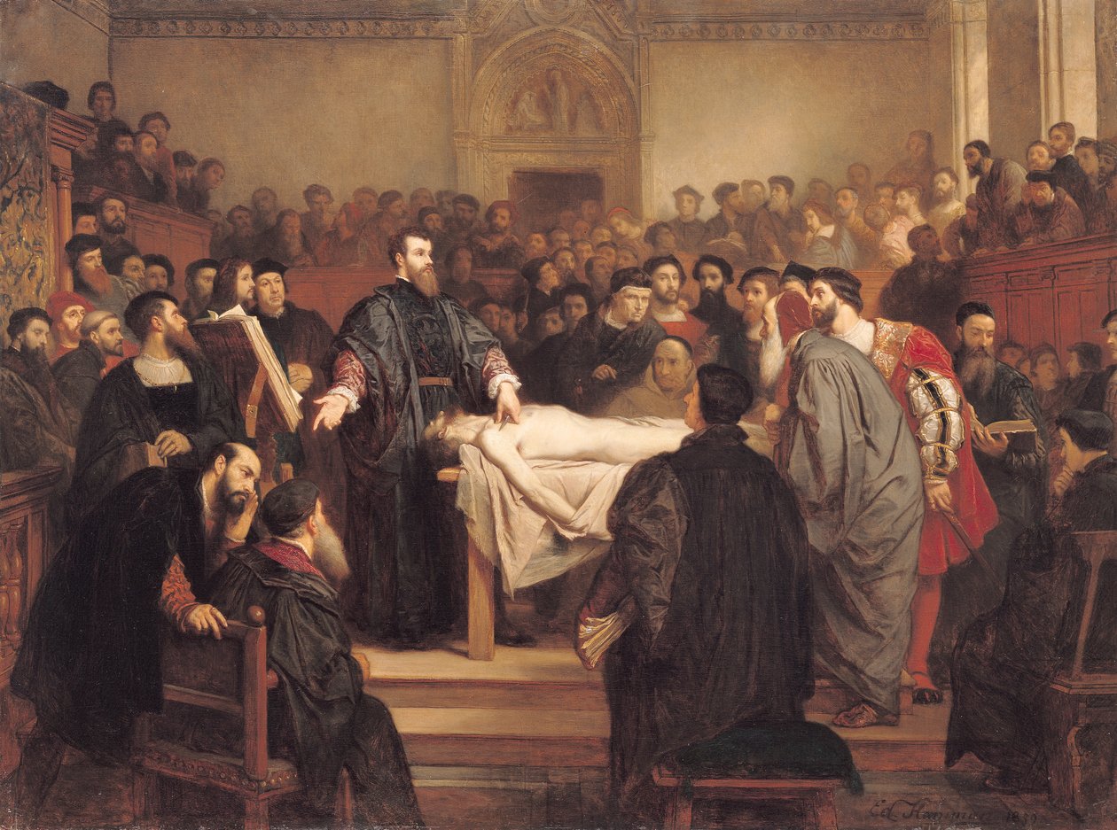 Andreas Vesalius (1514-64) Padovában, 1859 alkotó: Edouard Jean Conrad Hamman