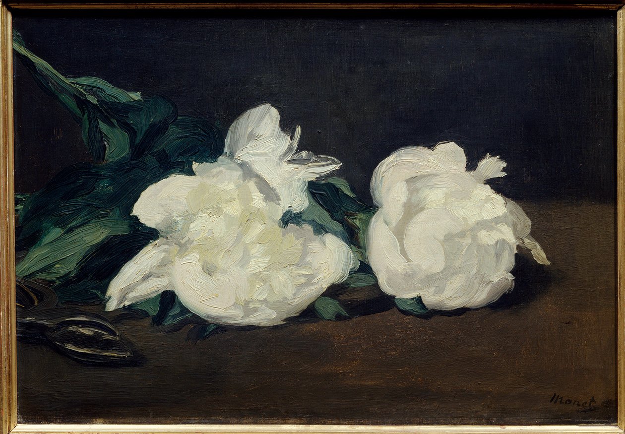 Fehér bazsarózsa ága és metszővágó Edouard Manet festménye (1832-1883) 1864 Dim. 0,31x0,46 m. Párizs. Orsay Múzeum alkotó: Édouard Manet