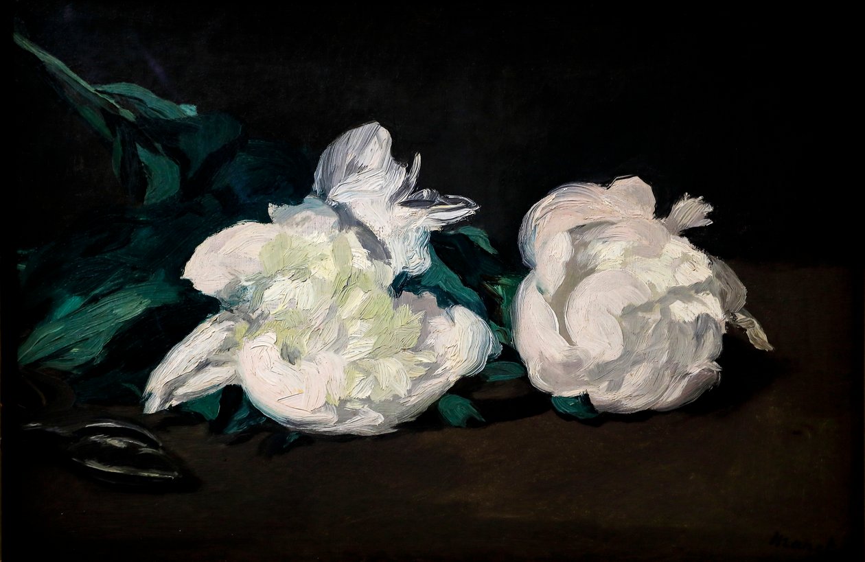 Fehér bazsarózsa és metsző ága alkotó: Édouard Manet