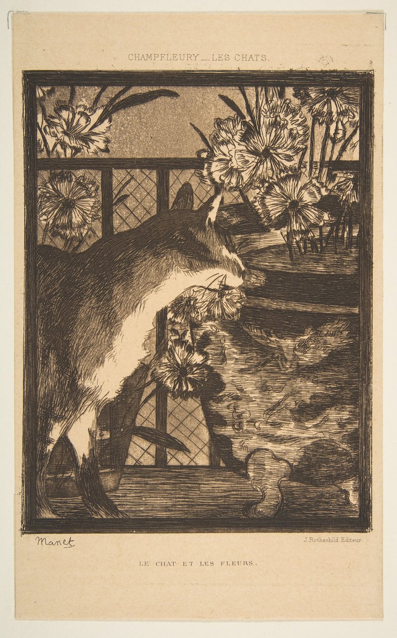 Macska és virágok. Illusztráció a macskákhoz, Champfleury, 1869. alkotó: Édouard Manet