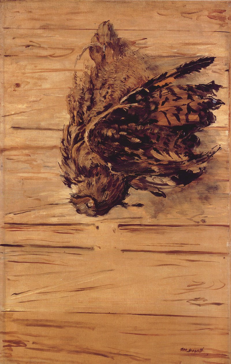 Döglött bagoly alkotó: Édouard Manet