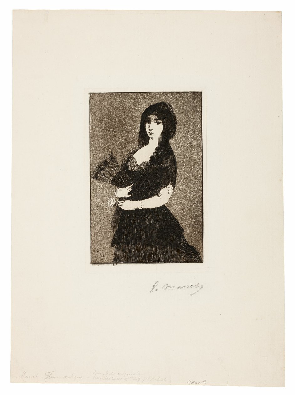 Egzotikus virág (Nő mantillában) alkotó: Édouard Manet