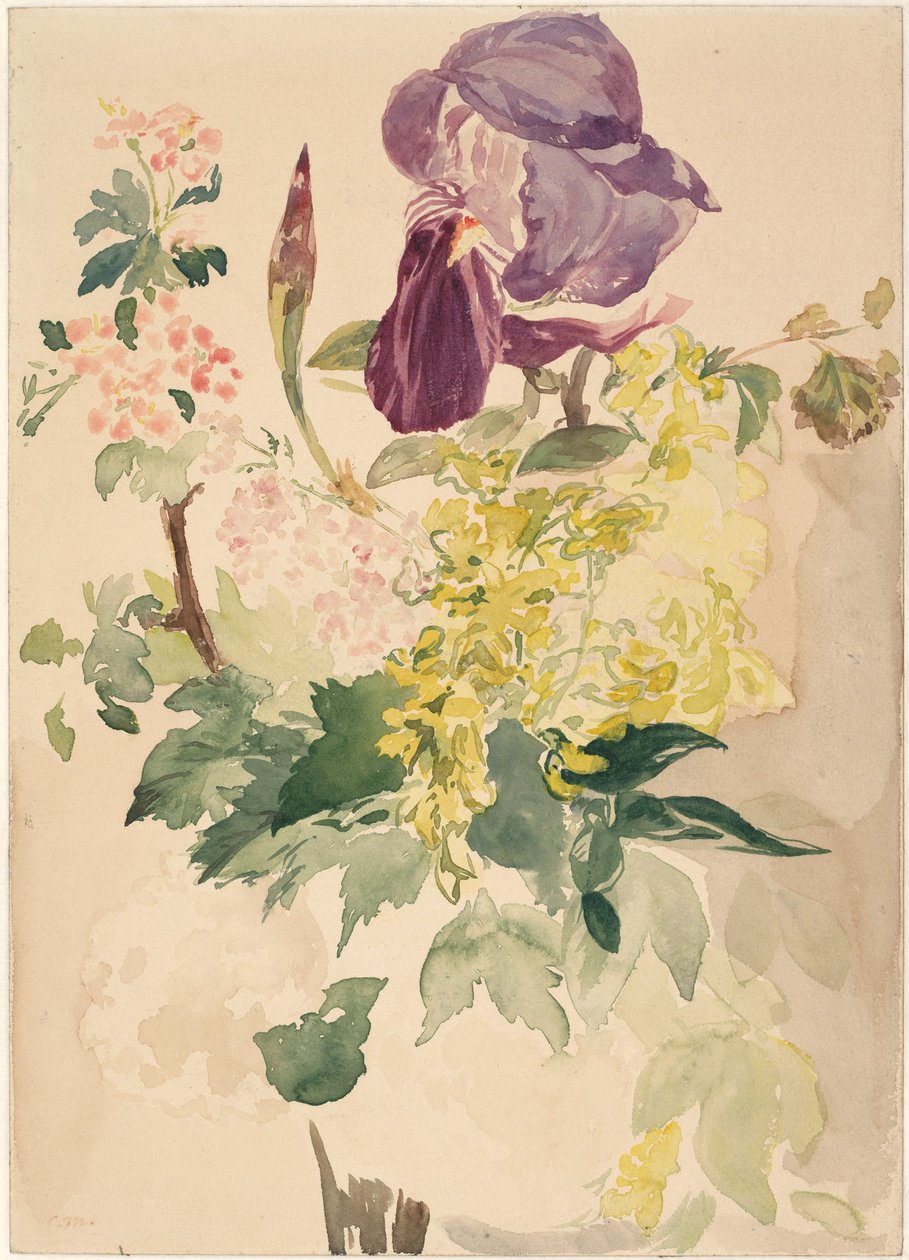 Virágdarab írisszel, laburnummal és muskátlival, 1880 alkotó: Édouard Manet