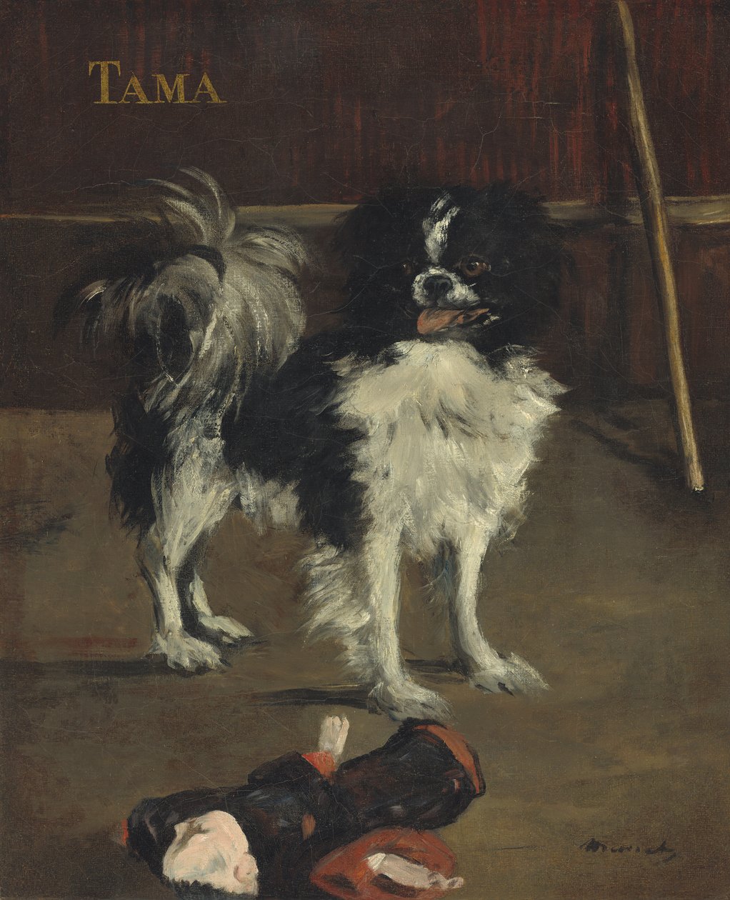 Tama, a japán kutya, 1875 körül (olaj, vászon) alkotó: Édouard Manet