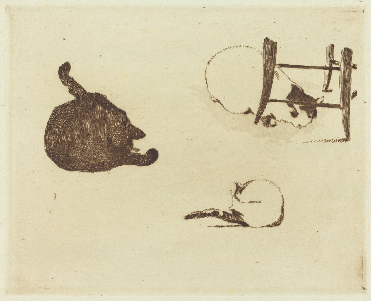 The Cats Les chats, 1869. alkotó: Édouard Manet