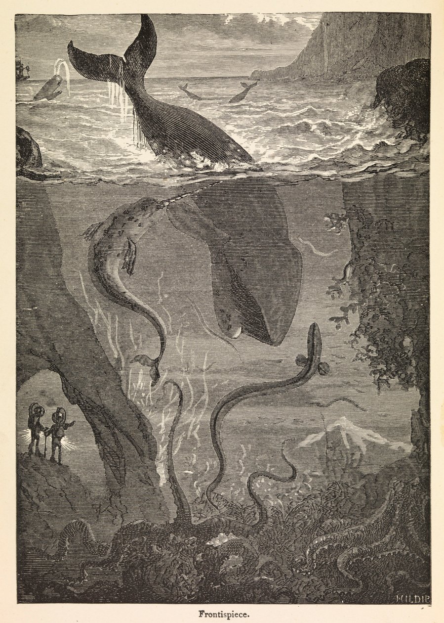 Jules Verne "Húszezer mérföld a tenger alatt" című művének címlapképe, 1870 körül (nyomtatás) alkotó: Edouard & Neuville Alphonse Marie Adolphe de (1835 85) Riou