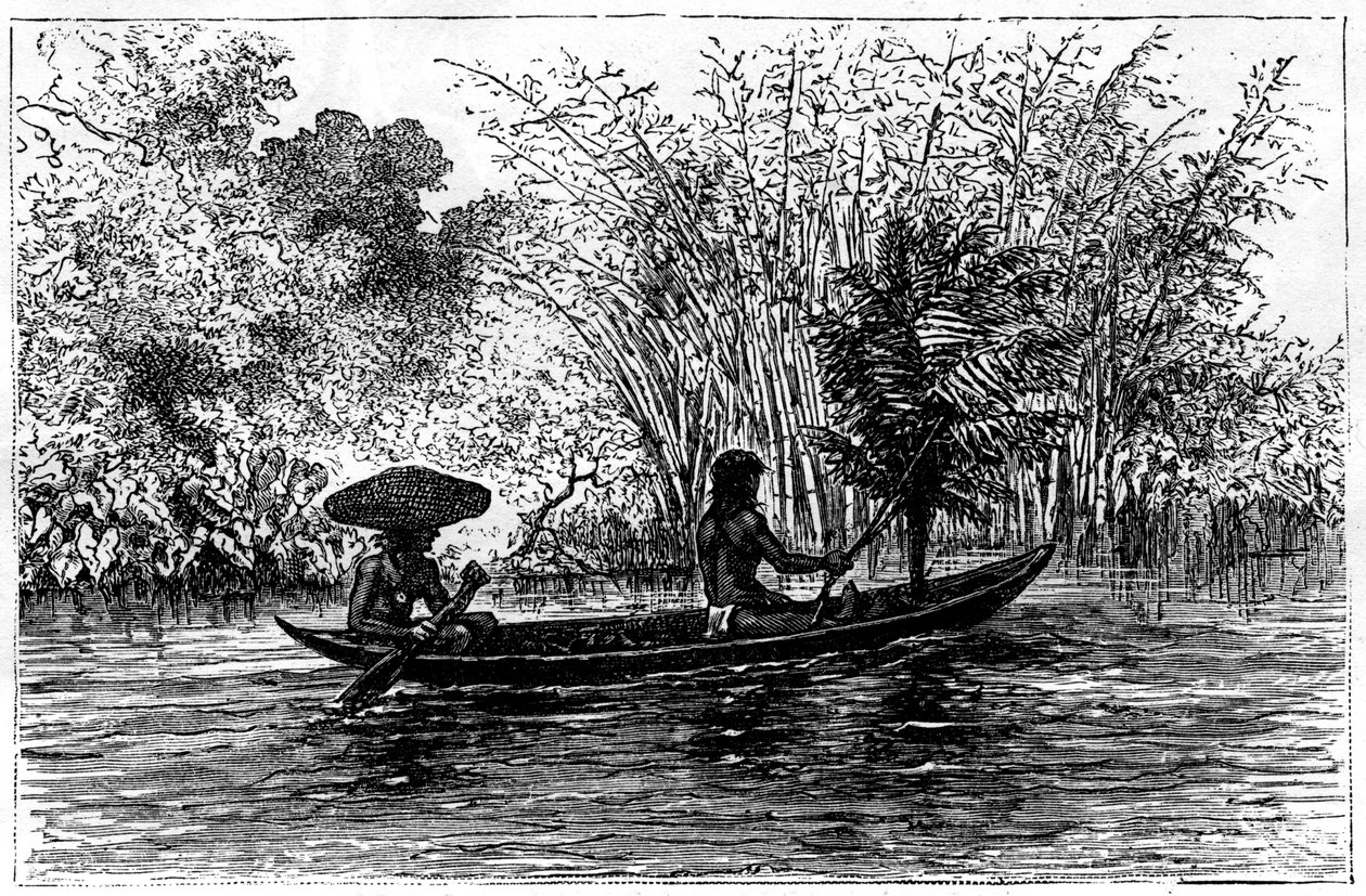 Dugout az Essequibo folyóban, Guyana, 19. század alkotó: Edouard Riou