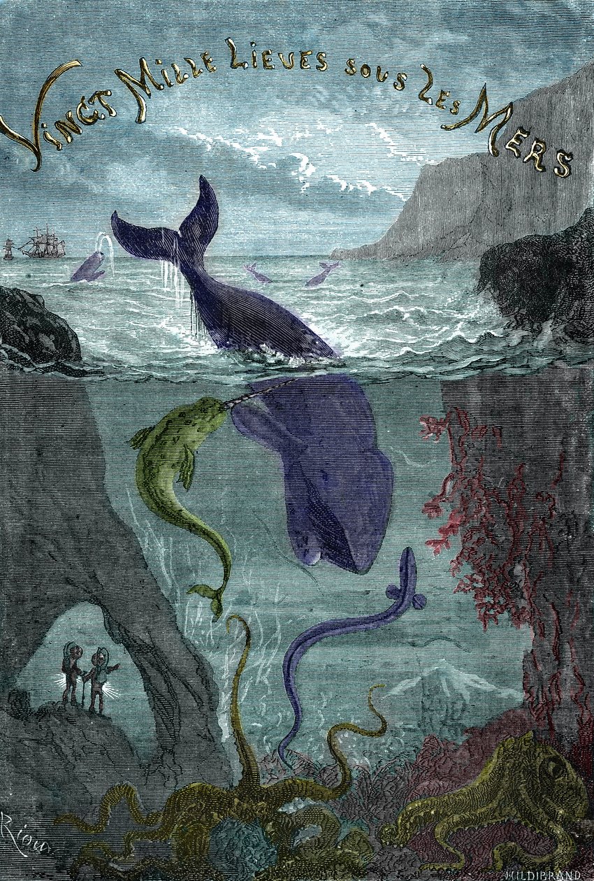 Jules Verne "Twenty thousand lieues sous les mers" (Húszezer - 20,000 - 20000) című könyvének metszete. alkotó: Edouard Riou