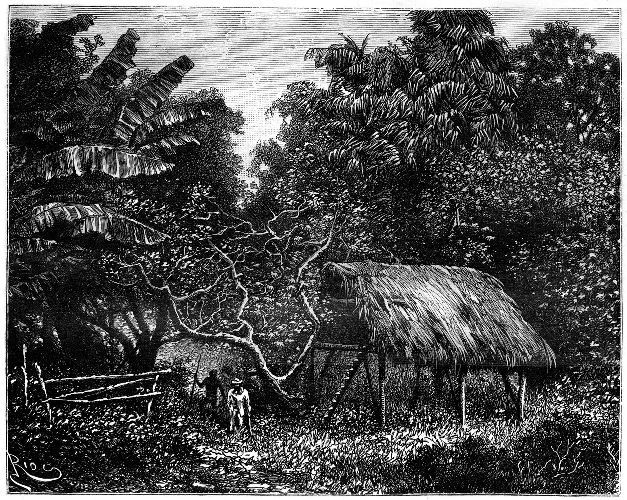 Guyana, Dél-Amerika, 19. század alkotó: Edouard Riou