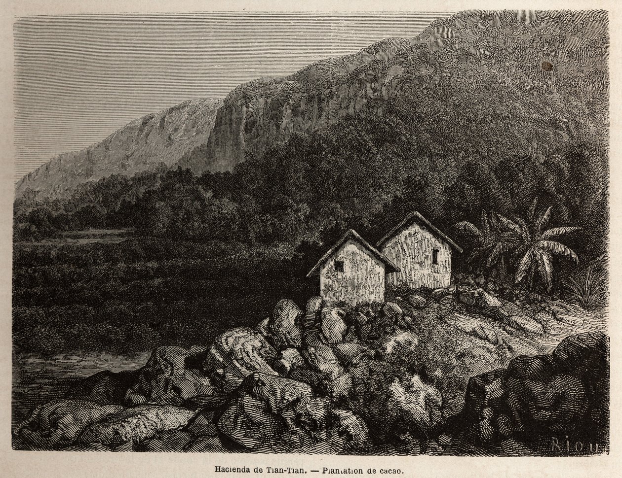 Hacienda, Tian Tian, Peru és kakaóültetvény, Riou rajza, Paul Marcoy 1848-tól 1860-ig tartó dél-amerikai utazásának illusztrálására. Metszet a „Le tour du monde”-ban, szerkesztette Edouard Charton alkotó: Edouard Riou