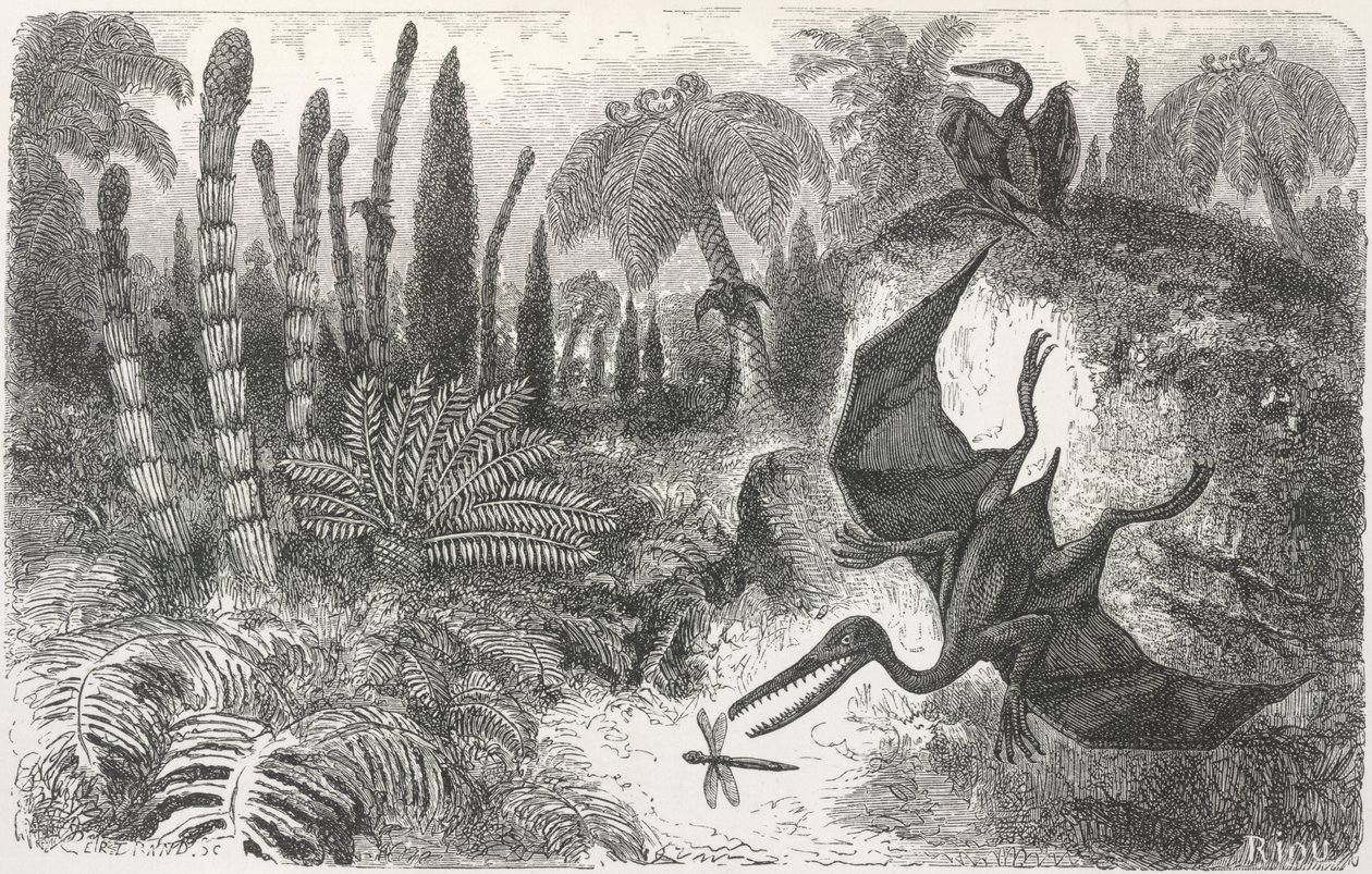 „A Liasic korszak tája”. Pterodactilt ábrázoló illusztráció alkotó: Edouard Riou