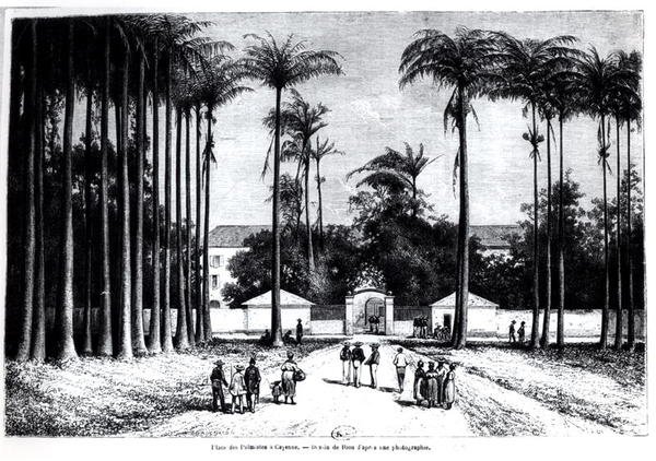 Place des Palmistes, Cayenne, Guyana alkotó: Edouard Riou