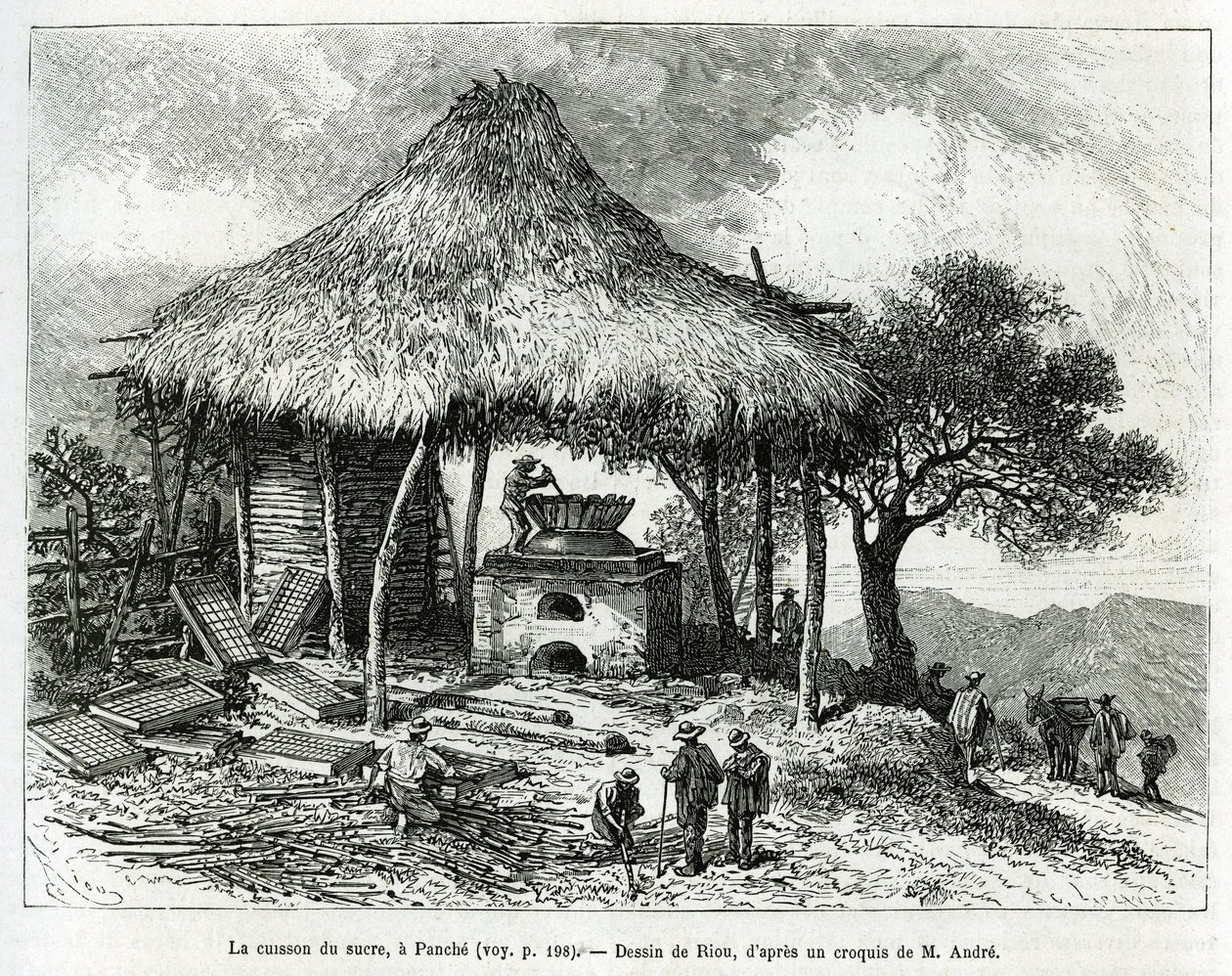 A cukorsütő sütő Panche-ban (Kolumbia), Riou rajza az Equinoxiale America (Kolumbia, Ecuador, Peru) 1875-1876-os történetének illusztrálására, Ed. andre, a francia kormány utazói missziós megbízatása. Gravírozás a Le tour du monde-ban alkotó: Edouard Riou