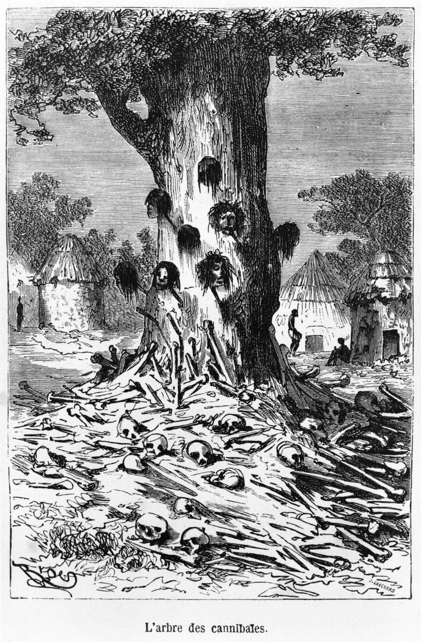 A kannibálok fája, illusztrációja Jules Verne (1828-1905) „Öt hét léggömbben” című művéből, Paris, Hetzel alkotó: Edouard Riou