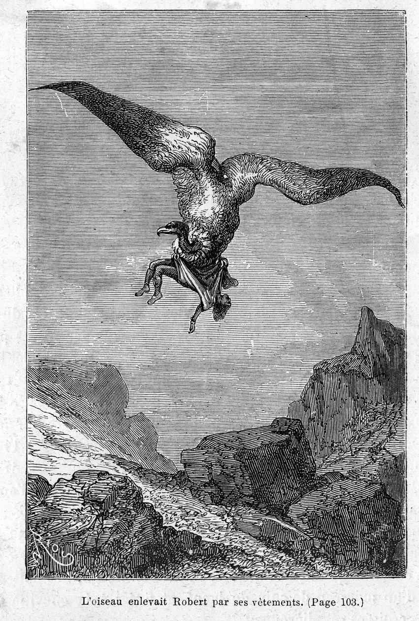 „Grant kapitány gyermekei: A madár a ruhájánál fogva elrabolta Robertet” – Jules Verne, Hetzel kiadás/Voyages Extraordinary 1868 alkotó: Edouard Riou