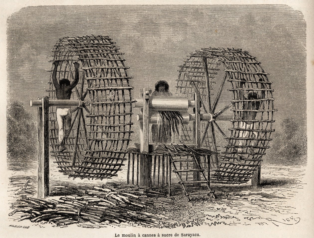 Sarayacu (Peru) cukornád őrlésére szolgáló malom, Riou rajza, Paul Marcoy 1848-tól 1860-ig tartó utazásának illusztrálására a Csendes-óceántól az Atlanti-óceánig. Metszet a „Le tour du monde”-ban, szerkesztette Edouard Charton alkotó: Edouard Riou