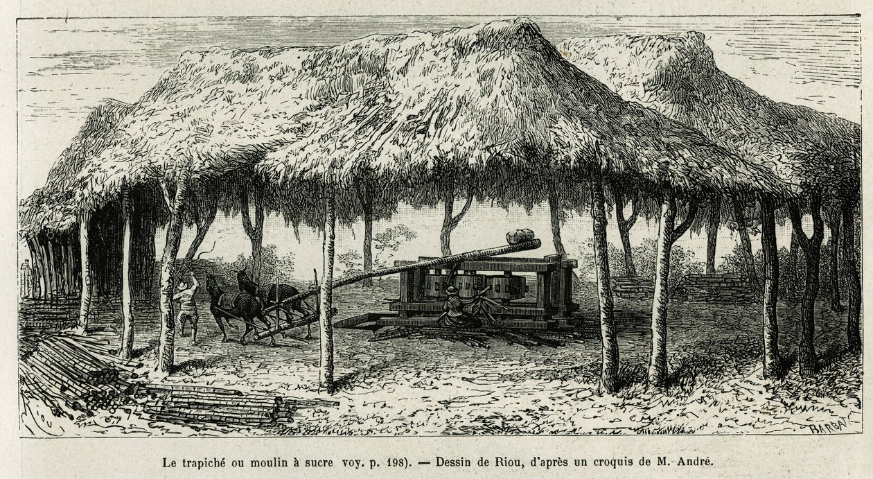 A trapiche vagy cukormalom a vesszők őrlésére Panche-ban (Kolumbia), Riou rajza az Equinoxiale America (Kolumbia, Ecuador, Peru) 1875-1876-os történetének illusztrálására, Ed. andre, a francia kormány utazói missziós megbízatása. Metszet a Le t alkotó: Edouard Riou