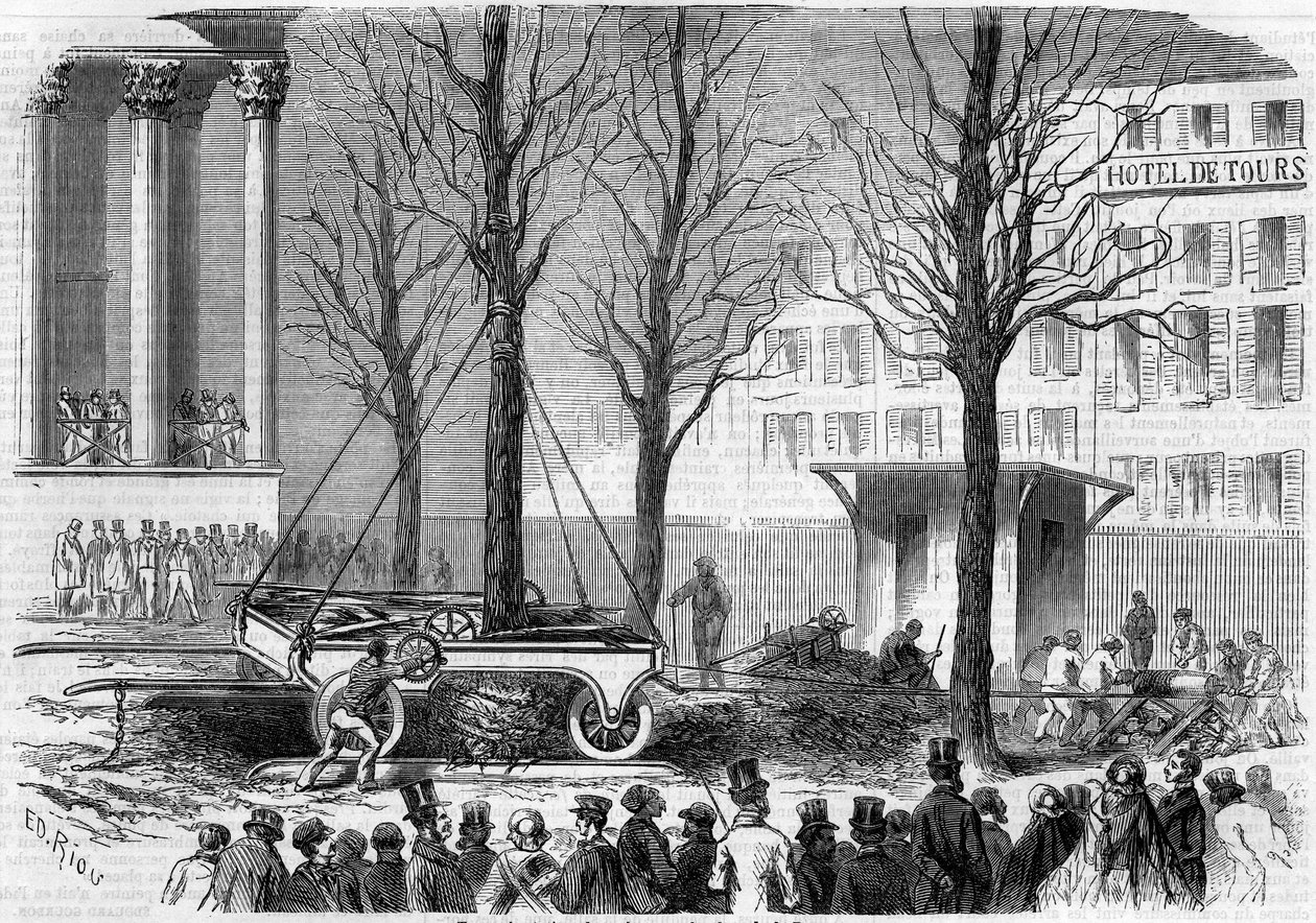 Fák átültetése a párizsi Place de la Bourse-on 1858 telén. Riou metszete a „” Le Monde Illustré”” 46. számában, 1858. február 27-én. alkotó: Edouard Riou