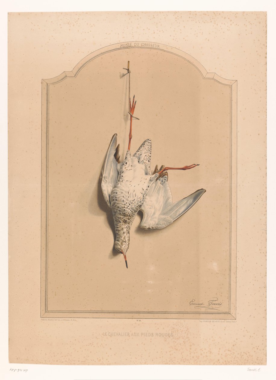 Halott Redshank lógott a lábáról Le chevalier aux pieds rouge (cím a tárgyon) A vadász múzeuma (sorozat címe) Musée du chasseur (sorozat címe a tárgyon) alkotó: Edouard Travies