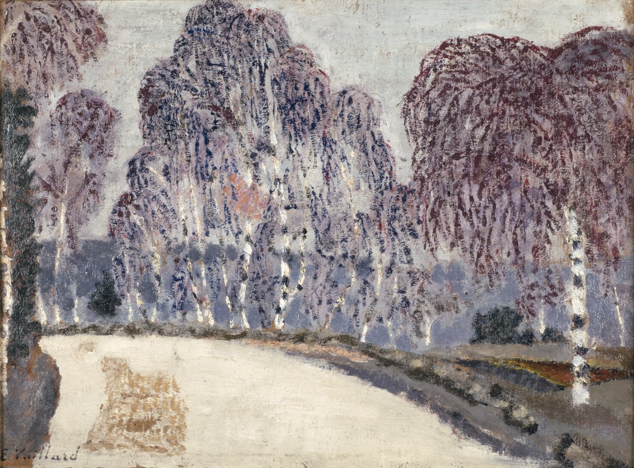 Nyírfa a LEtang-a-la-Ville-ben, 1896 (olaj, karton) alkotó: Edouard Vuillard