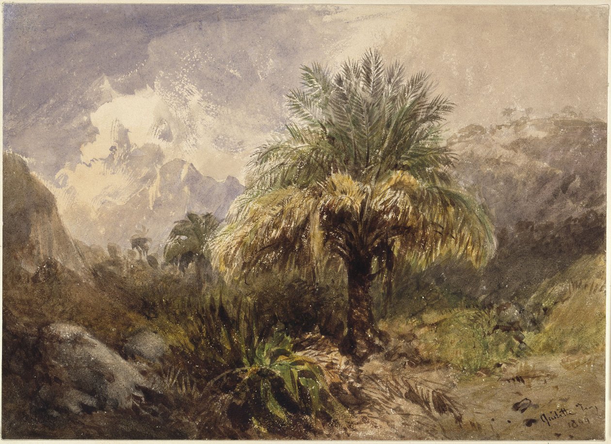Pálmafák a hegyekben alkotó: Eduard Hildebrandt