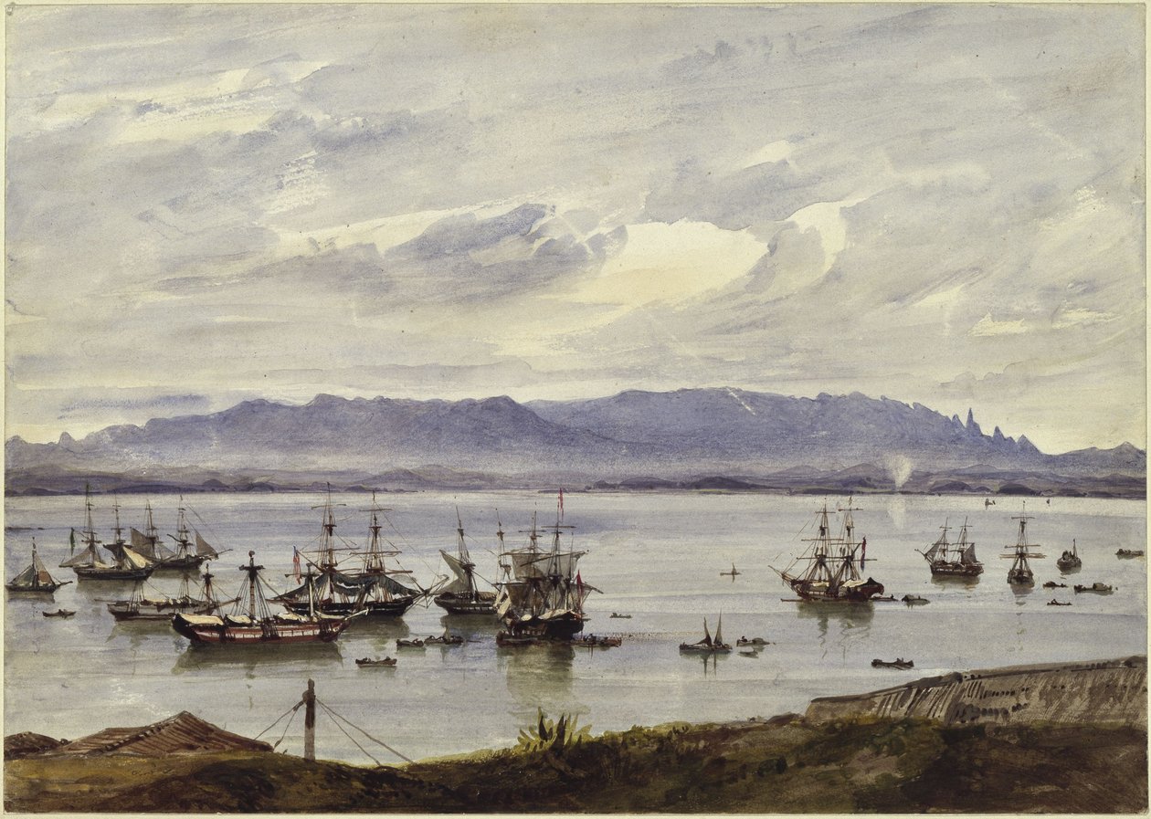 Rio de Janeiro panorámája alkotó: Eduard Hildebrandt